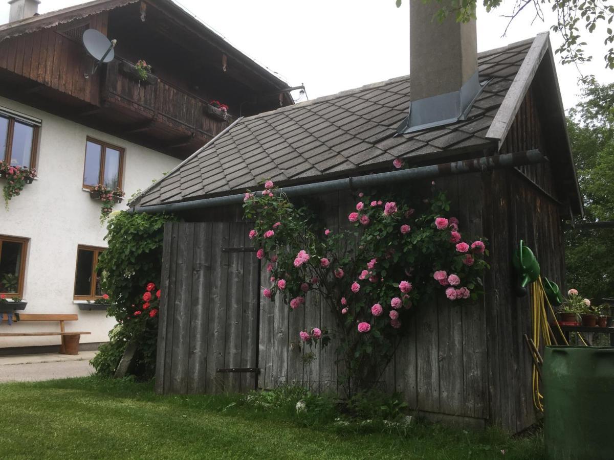 Apartment Strauss Sankt Wolfgang im Salzkammergut